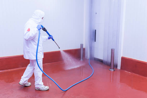 Best Solar Panel Cleaning  in Moon Lake, FL